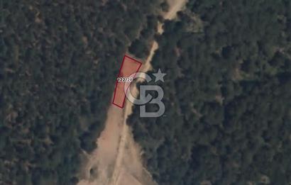 CB EAGLE'Dan KÜTAHYA GEDİZ'DE 337 m² SATILIK TARLA