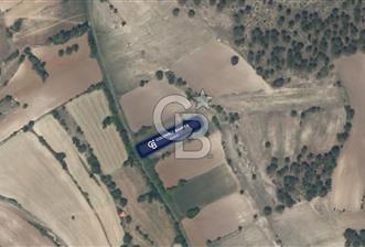 CB EAGLE'Dan KÜTAHYA EMET'DE 904 m² SATILIK TARLA - 2 - 351264