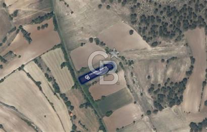 CB EAGLE'Dan KÜTAHYA EMET'DE 904 m² SATILIK TARLA