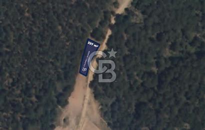 CB EAGLE'Dan KÜTAHYA GEDİZ'DE 337 m² SATILIK TARLA