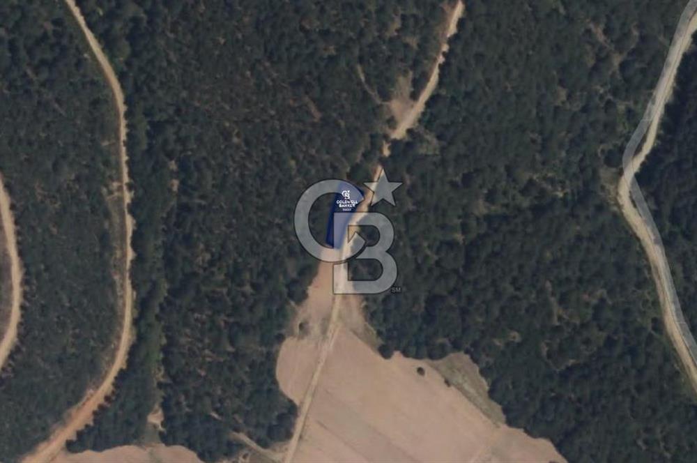 CB EAGLE'Dan KÜTAHYA GEDİZ'DE 337 m² SATILIK TARLA
