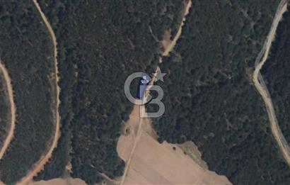 CB EAGLE'Dan KÜTAHYA GEDİZ'DE 337 m² SATILIK TARLA