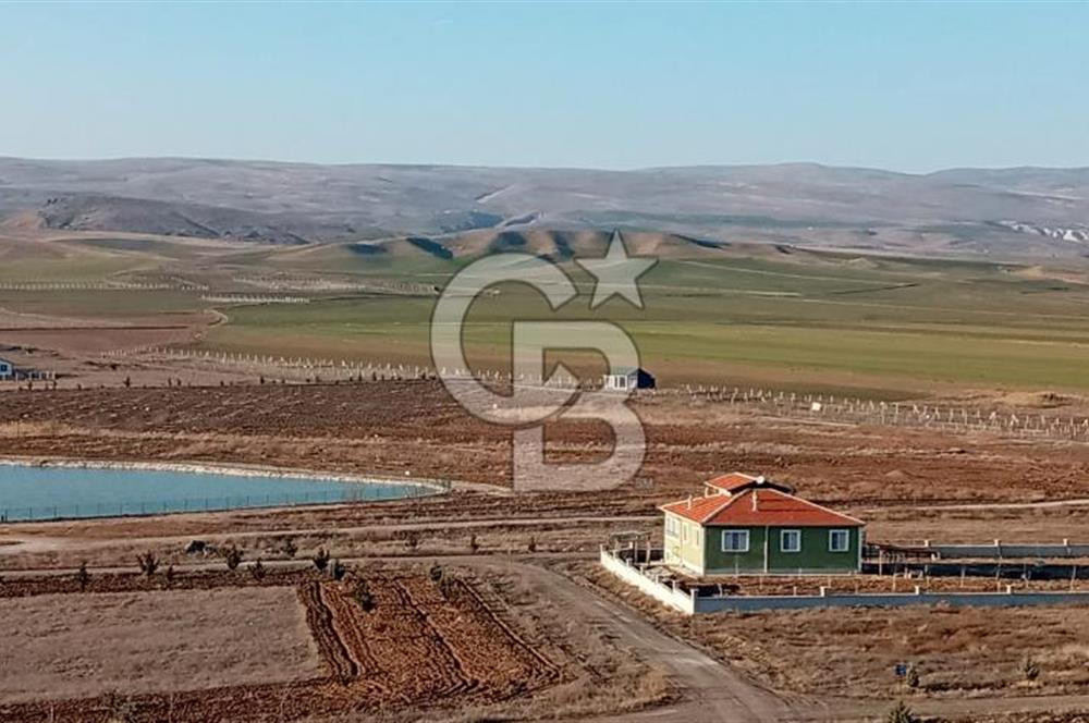 HACITUĞRUL YAMANLAR SATILIK MÜSTAKİL 1000 M² ARSA… FIRSAT!!!