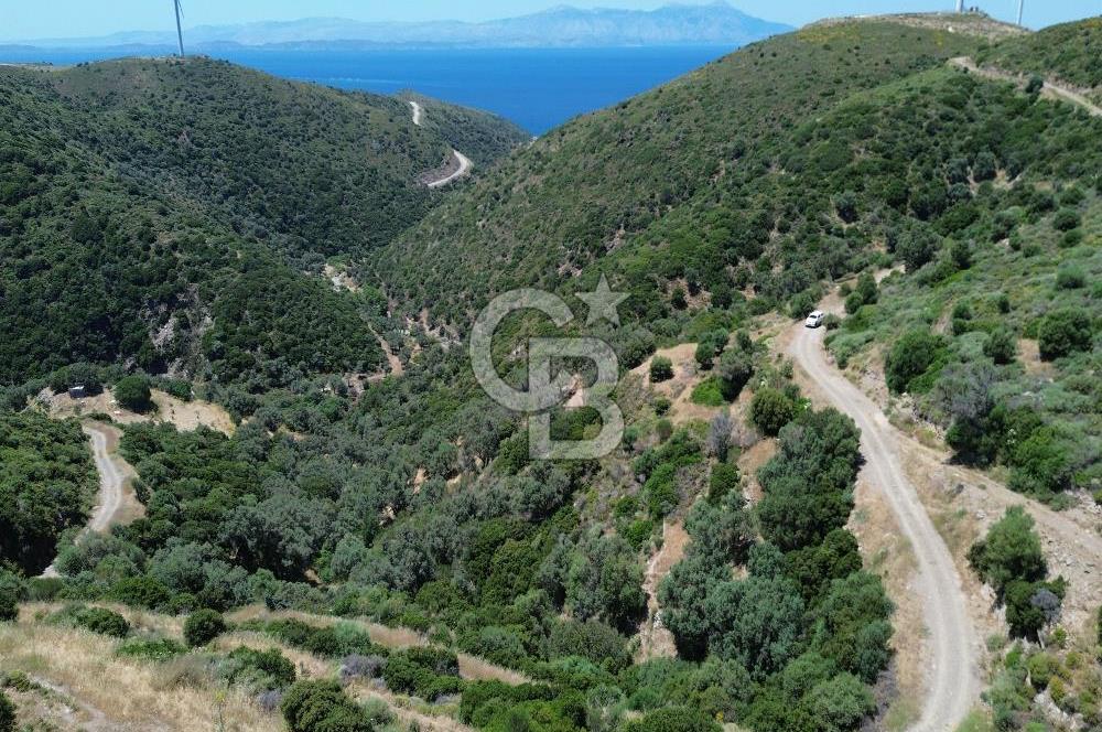 Sarpıncık'ta Deniz Manzaralı 7312 m² Yatırımlık Arazi