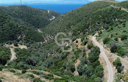 Sarpıncık'ta Deniz Manzaralı 7312 m² Yatırımlık Arazi
