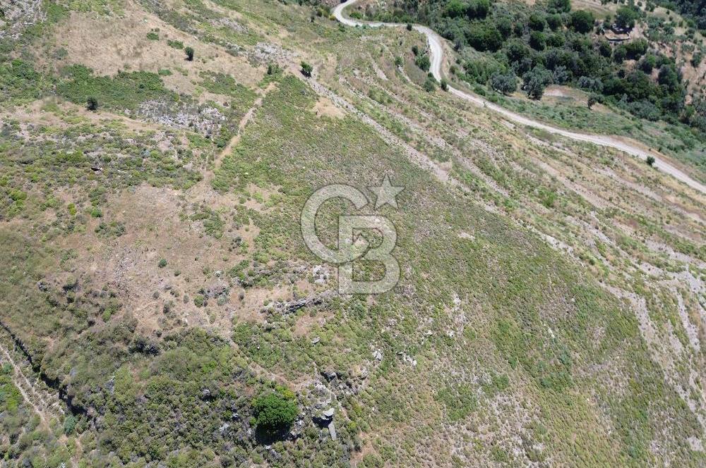 Karaburun Sarpıncık Mahallesi'nde 6.500 m² Satılık Tarla