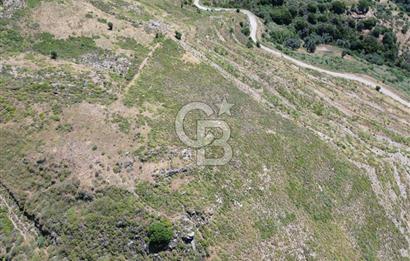 Karaburun Sarpıncık Mahallesi'nde 6.500 m² Satılık Tarla