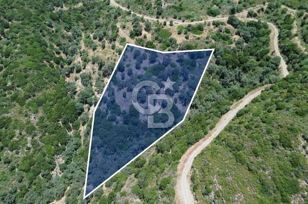 Sarpıncık'ta Deniz Manzaralı 7312 m² Yatırımlık Arazi