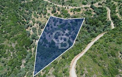 Sarpıncık'ta Deniz Manzaralı 7312 m² Yatırımlık Arazi