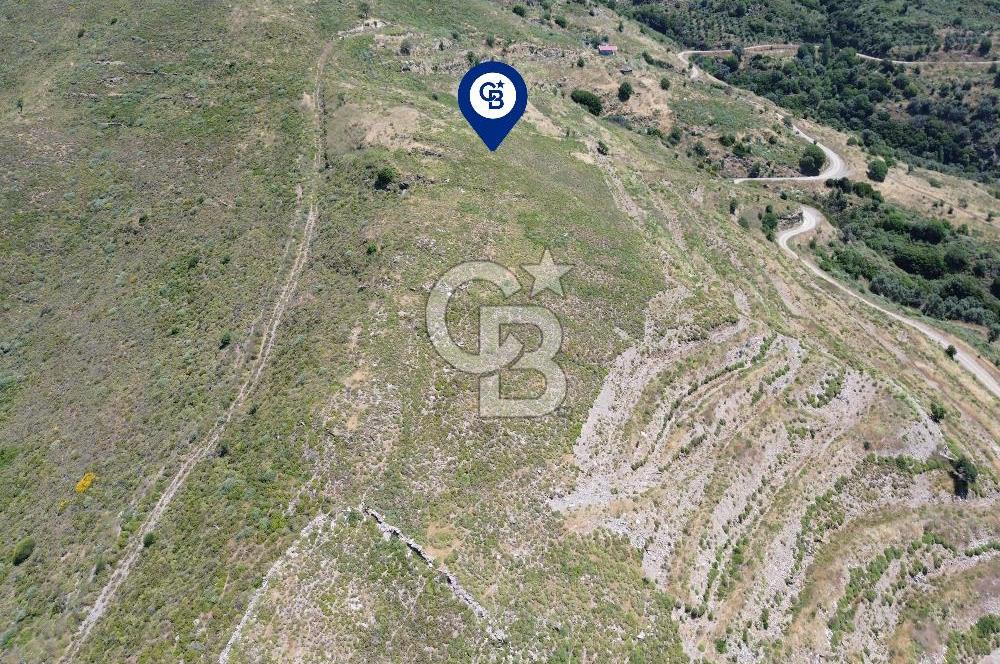 Karaburun Sarpıncık Mahallesi'nde 6.500 m² Satılık Tarla