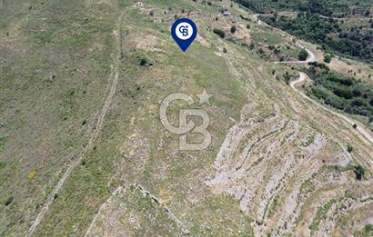 Karaburun Sarpıncık Mahallesi'nde 6.500 m² Satılık Tarla