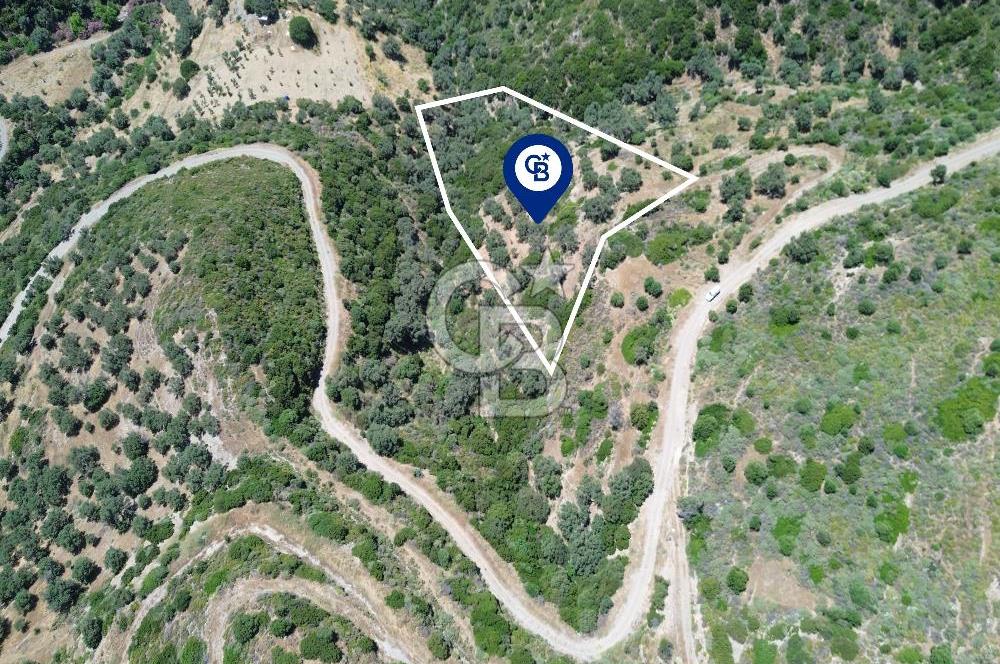 Sarpıncık'ta Deniz Manzaralı 7312 m² Yatırımlık Arazi