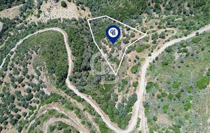 Sarpıncık'ta Deniz Manzaralı 7312 m² Yatırımlık Arazi