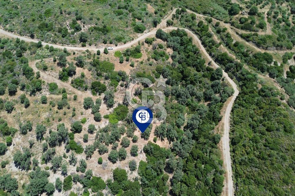 Sarpıncık'ta Deniz Manzaralı 7312 m² Yatırımlık Arazi
