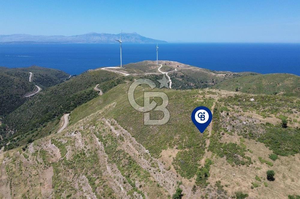 Karaburun Sarpıncık Mahallesi'nde 6.500 m² Satılık Tarla