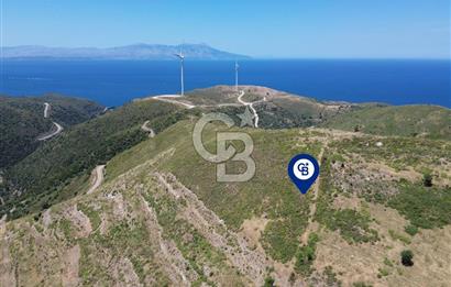Karaburun Sarpıncık Mahallesi'nde 6.500 m² Satılık Tarla