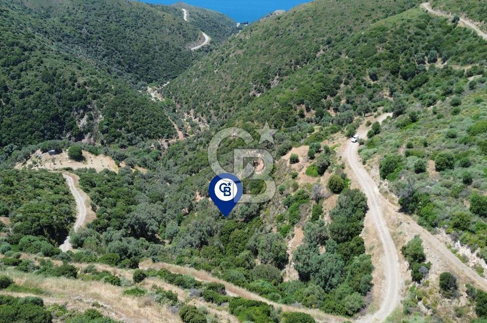 Sarpıncık'ta Deniz Manzaralı 7312 m² Yatırımlık Arazi