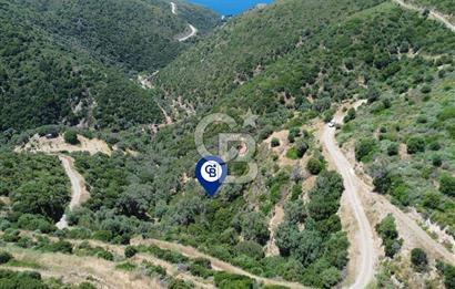 Sarpıncık'ta Deniz Manzaralı 7312 m² Yatırımlık Arazi