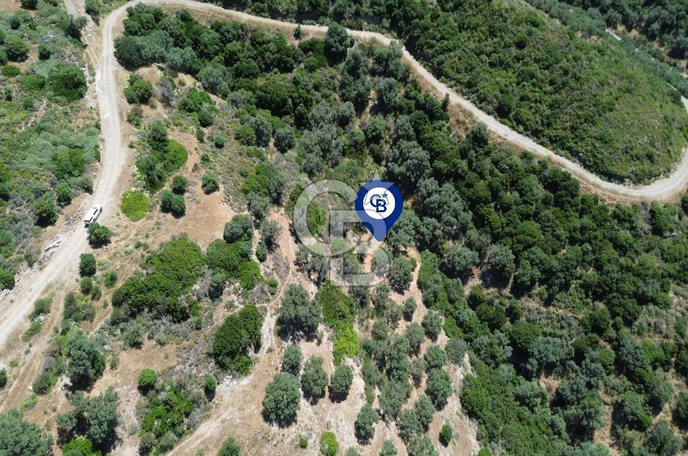Sarpıncık'ta Deniz Manzaralı 7312 m² Yatırımlık Arazi