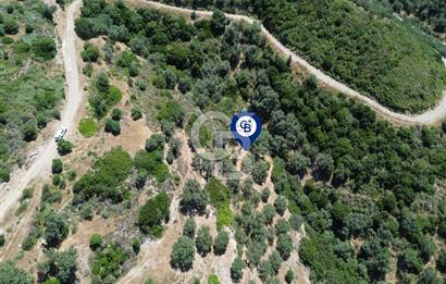 Sarpıncık'ta Deniz Manzaralı 7312 m² Yatırımlık Arazi