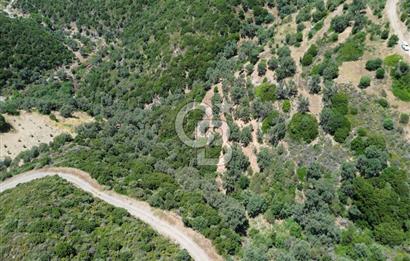 Sarpıncık'ta Deniz Manzaralı 7312 m² Yatırımlık Arazi