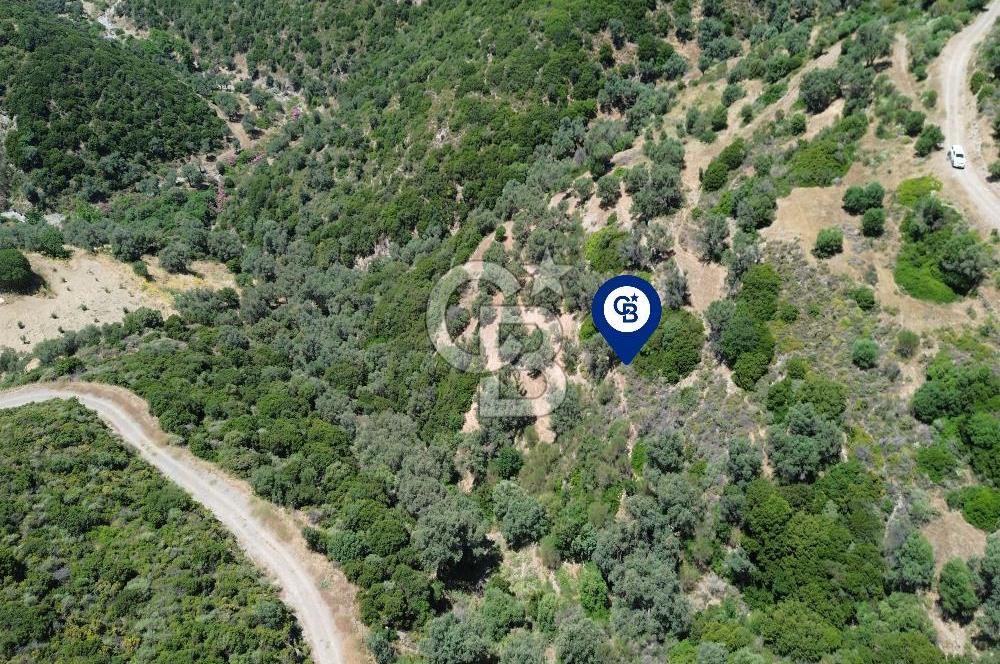 Sarpıncık'ta Deniz Manzaralı 7312 m² Yatırımlık Arazi
