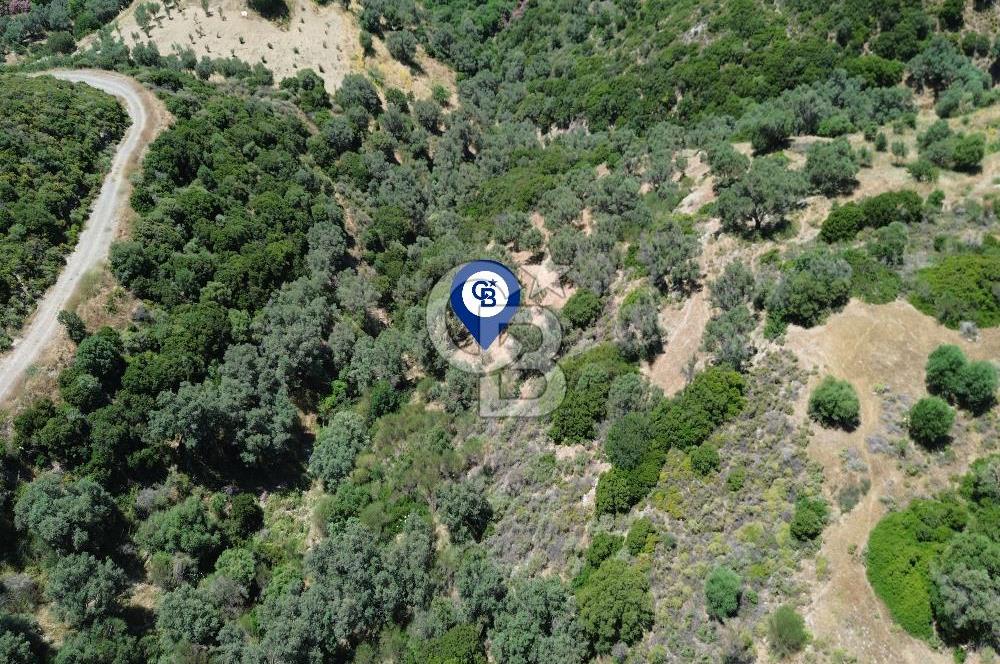Sarpıncık'ta Deniz Manzaralı 7312 m² Yatırımlık Arazi