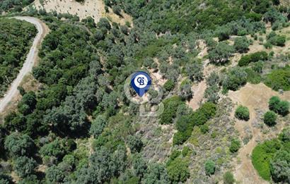 Sarpıncık'ta Deniz Manzaralı 7312 m² Yatırımlık Arazi