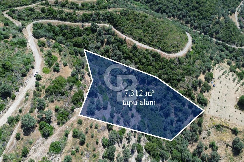 Sarpıncık'ta Deniz Manzaralı 7312 m² Yatırımlık Arazi