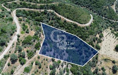 Sarpıncık'ta Deniz Manzaralı 7312 m² Yatırımlık Arazi