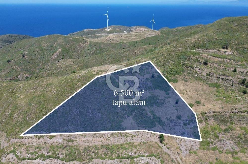 Karaburun Sarpıncık Mahallesi'nde 6.500 m² Satılık Tarla