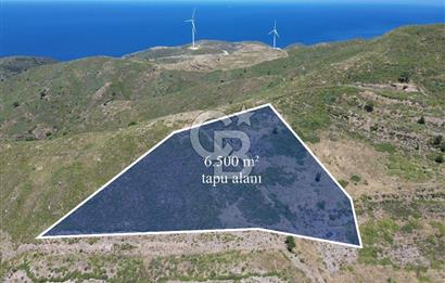 Karaburun Sarpıncık Mahallesi'nde 6.500 m² Satılık Tarla