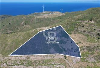 Karaburun Sarpıncık Mahallesi'nde 6.500 m² Satılık Tarla - 7 - 351287