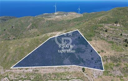 Karaburun Sarpıncık Mahallesi'nde 6.500 m² Satılık Tarla