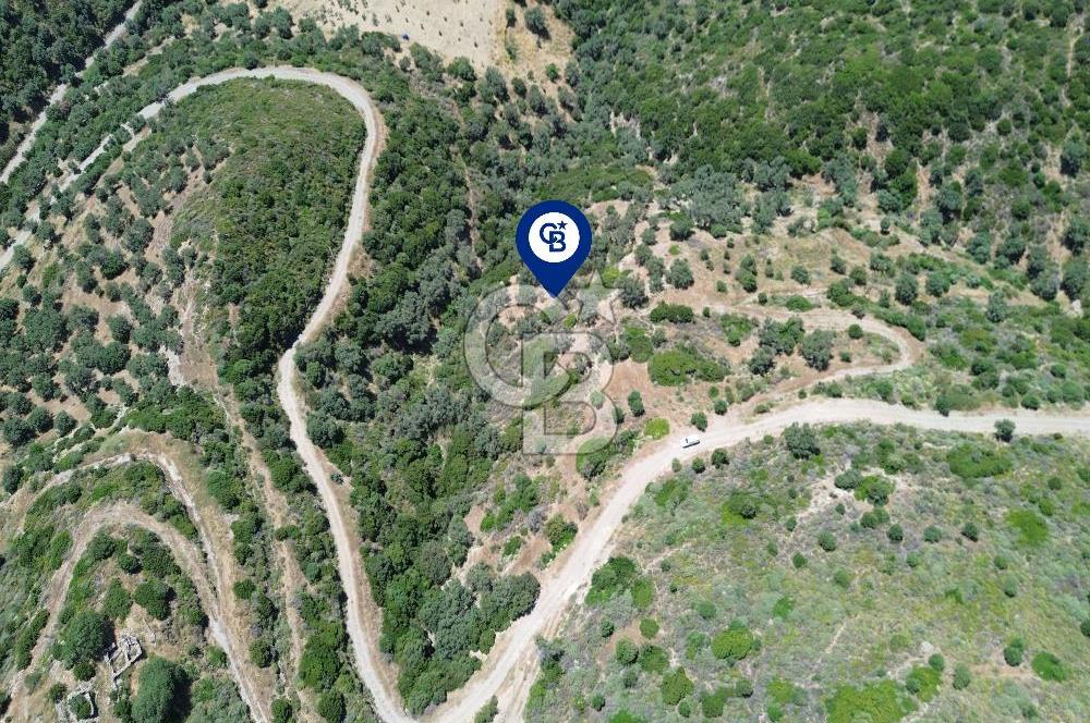 Sarpıncık'ta Deniz Manzaralı 7312 m² Yatırımlık Arazi