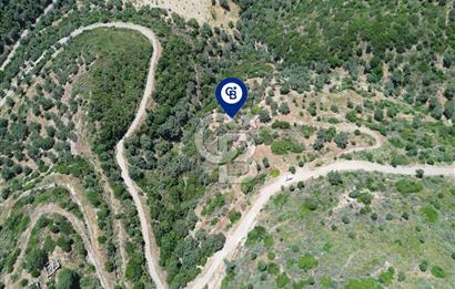 Sarpıncık'ta Deniz Manzaralı 7312 m² Yatırımlık Arazi