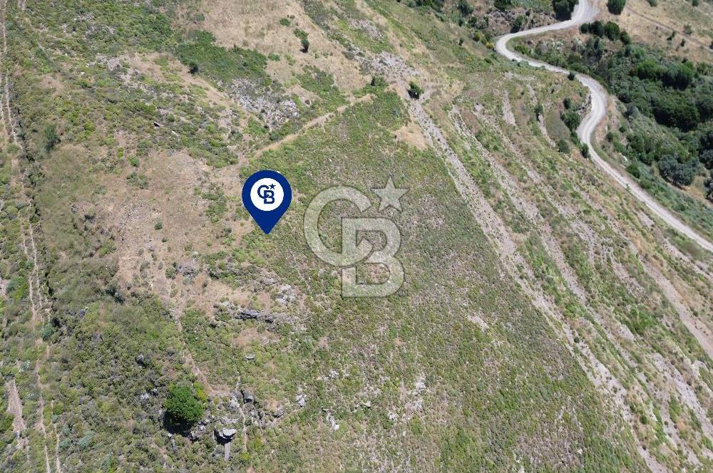Karaburun Sarpıncık Mahallesi'nde 6.500 m² Satılık Tarla
