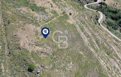 Karaburun Sarpıncık Mahallesi'nde 6.500 m² Satılık Tarla