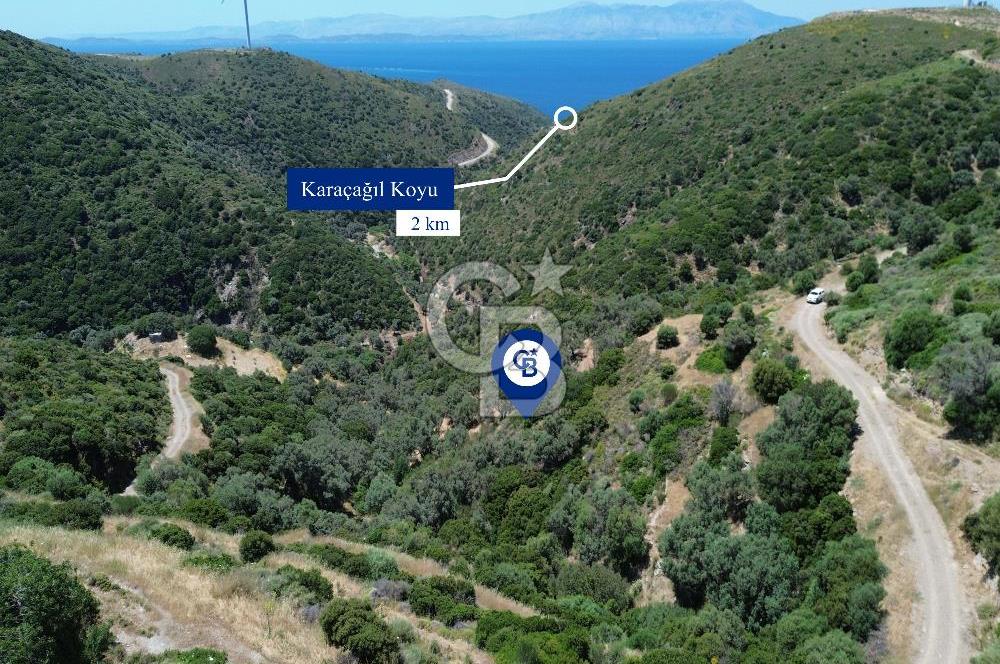 Sarpıncık'ta Deniz Manzaralı 7312 m² Yatırımlık Arazi