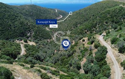 Sarpıncık'ta Deniz Manzaralı 7312 m² Yatırımlık Arazi