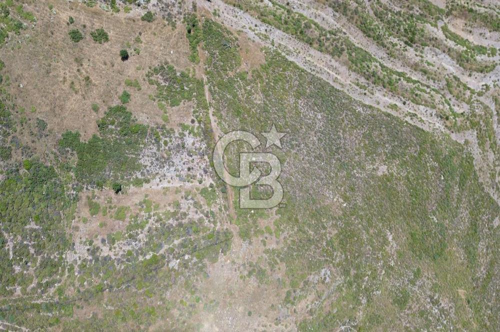 Karaburun Sarpıncık Mahallesi'nde 6.500 m² Satılık Tarla