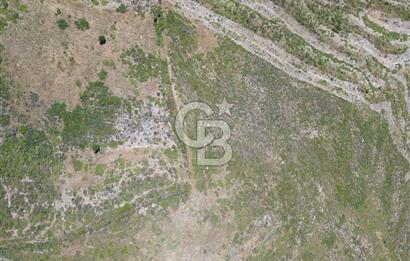 Karaburun Sarpıncık Mahallesi'nde 6.500 m² Satılık Tarla