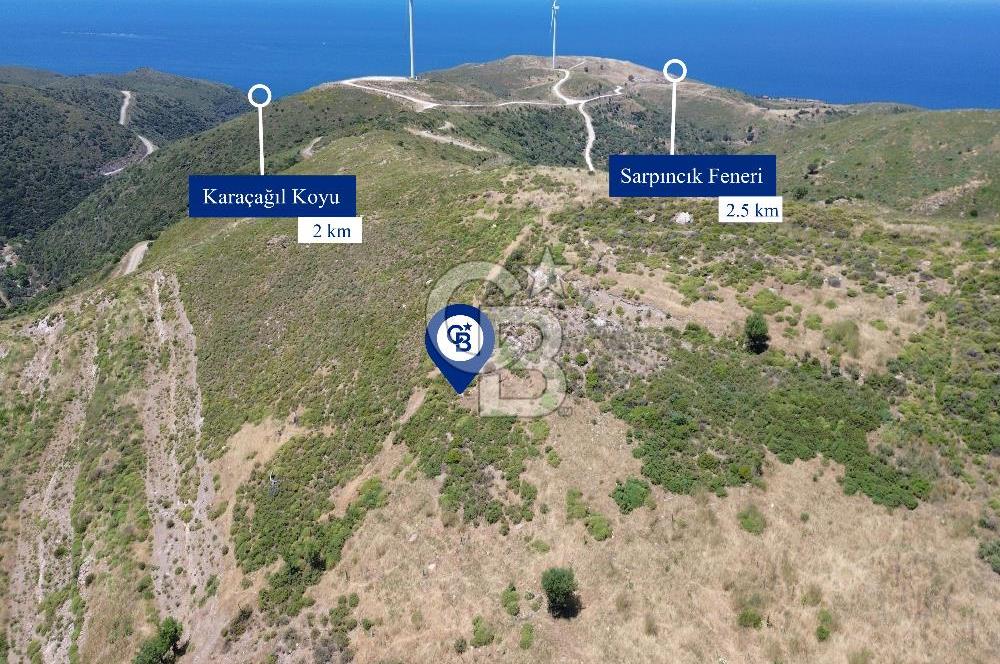 Karaburun Sarpıncık Mahallesi'nde 6.500 m² Satılık Tarla