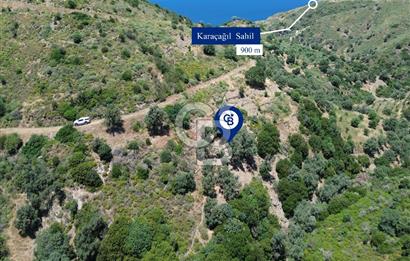 Karaburun Sarpıncık'ta 5 Dönüm Satılık Zeytinlik