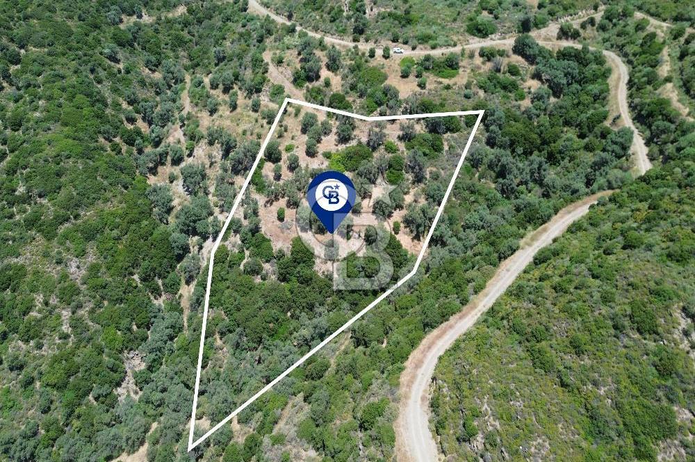 Sarpıncık'ta Deniz Manzaralı 7312 m² Yatırımlık Arazi