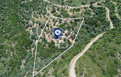 Sarpıncık'ta Deniz Manzaralı 7312 m² Yatırımlık Arazi