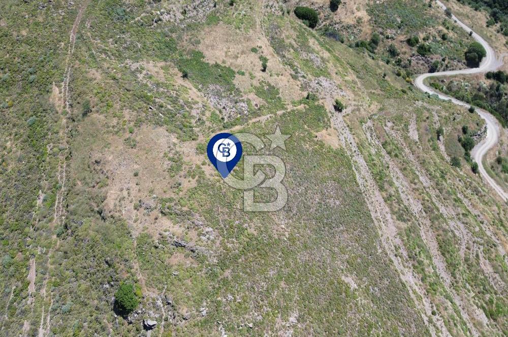 Karaburun Sarpıncık Mahallesi'nde 6.500 m² Satılık Tarla