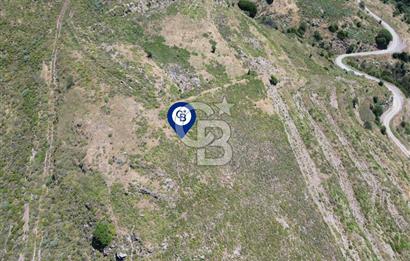 Karaburun Sarpıncık Mahallesi'nde 6.500 m² Satılık Tarla