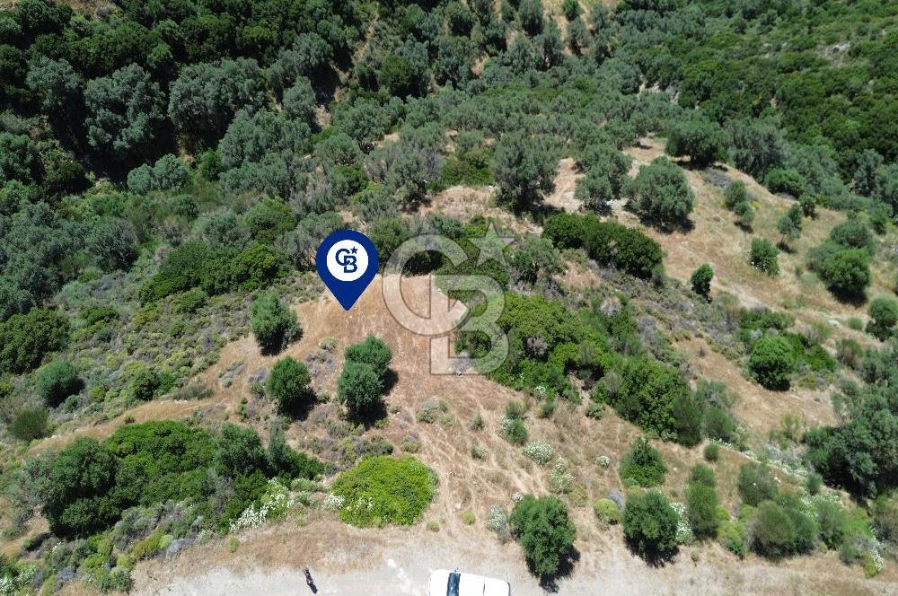 Sarpıncık'ta Deniz Manzaralı 7312 m² Yatırımlık Arazi