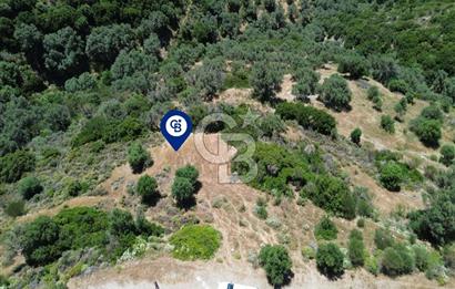 Sarpıncık'ta Deniz Manzaralı 7312 m² Yatırımlık Arazi